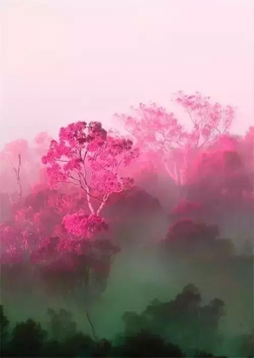 你受得了何種委屈,決定你能成為何種人