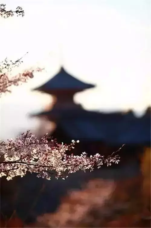 你受得了何種委屈,決定你能成為何種人