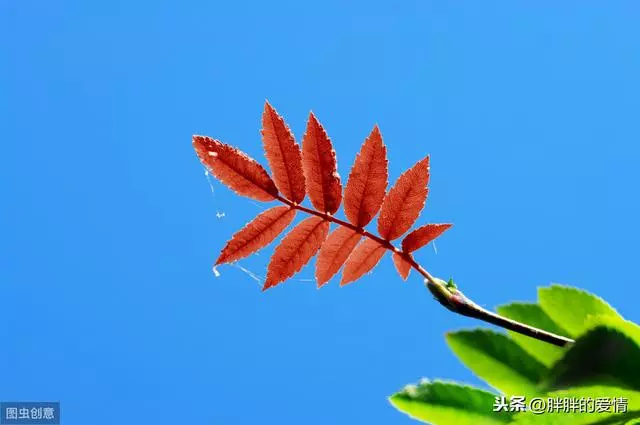 沒人扶你的時候,要自己站直,沒人幫你的時候,要自己努力