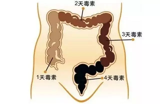 排便困難、糞便乾結,只需吃這三種食物,讓你的身體更通暢 !