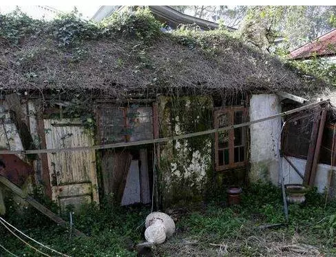 哥哥急用錢我拿錢回家給他,看到家裡豬棚,氣的拿錢就走
