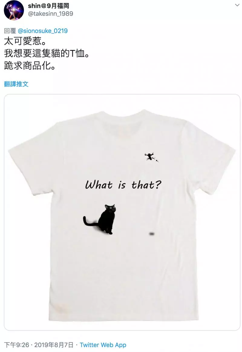 愛我就背我走~「傲嬌貓+忠犬」組隊環遊世界 每天微笑抱抱超級閃