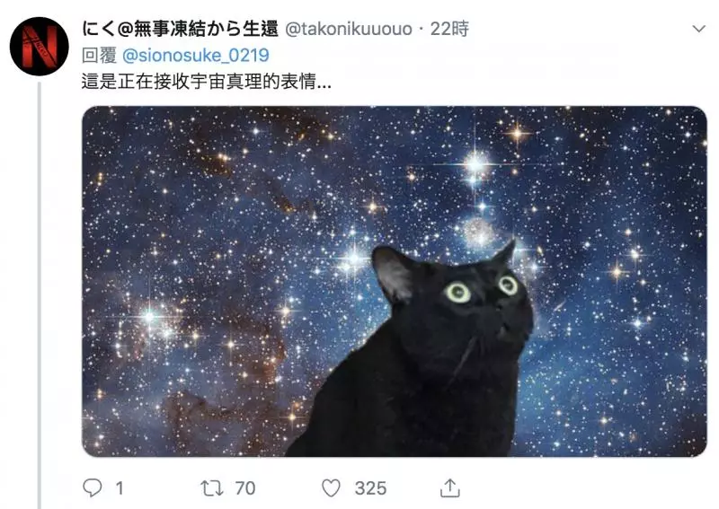 愛我就背我走~「傲嬌貓+忠犬」組隊環遊世界 每天微笑抱抱超級閃