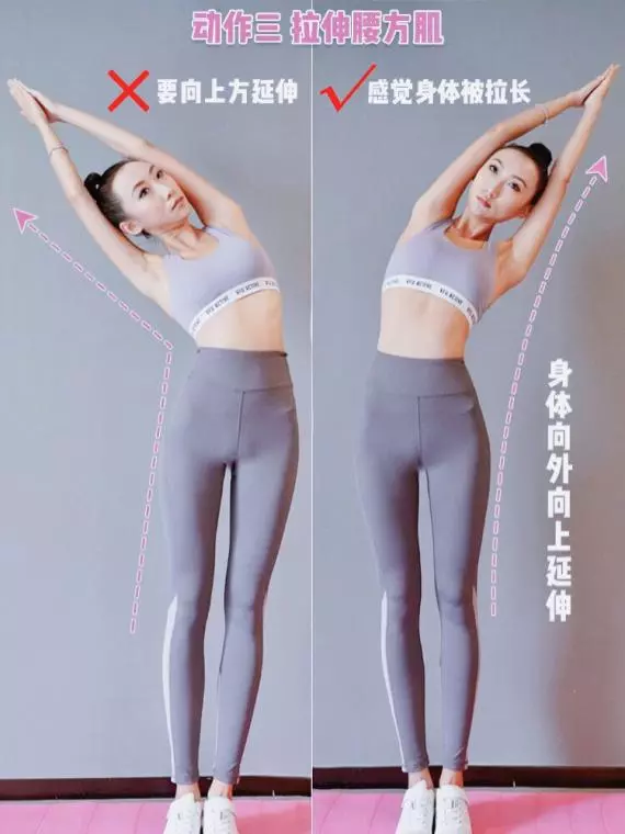 2星期減走車胎腰!7個在家簡單動作讓你練出A4腰