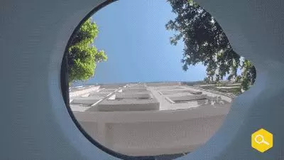 土耳其網友在水碗裡放了個攝像頭,拍下了貓狗們喝水時滑稽的表情