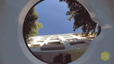 土耳其網友在水碗裡放了個攝像頭,拍下了貓狗們喝水時滑稽的表情