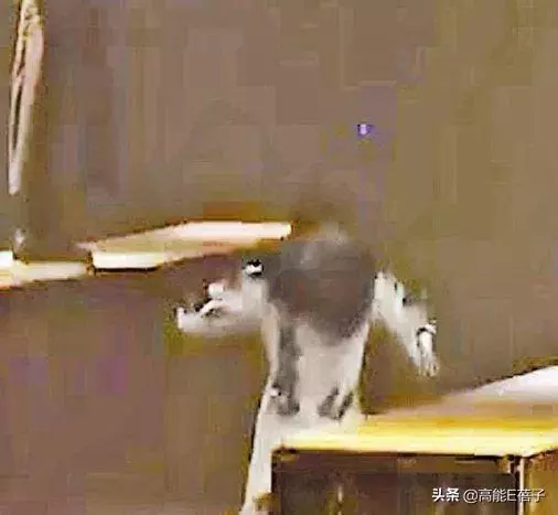 30歲女歌手演出時遭舞台煙花擊中腹部不幸身亡,粉絲錄下全過程!