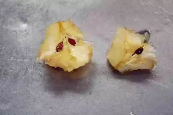 吃剩的蘋果、長芽的馬鈴薯千萬別扔!還有大用處呢!