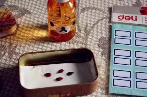 吃剩的蘋果、長芽的馬鈴薯千萬別扔!還有大用處呢!
