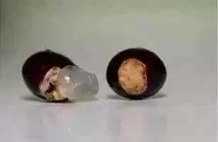 吃剩的蘋果、長芽的馬鈴薯千萬別扔!還有大用處呢!