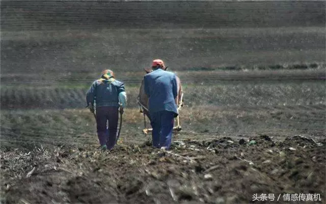 8旬老太病危,咽氣前說:第三個重孫我是看不到了,我不捨得走啊