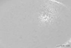 拔絲香蕉家常做法,酥脆香甜口感好,一次就能成功