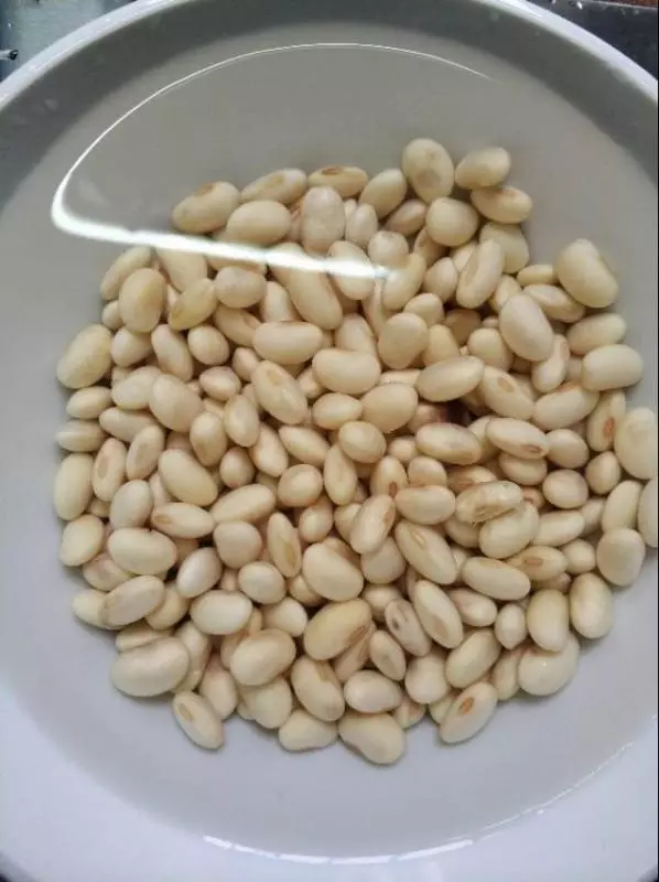 一把黃豆,半個苦瓜,教你煲一鍋下火湯