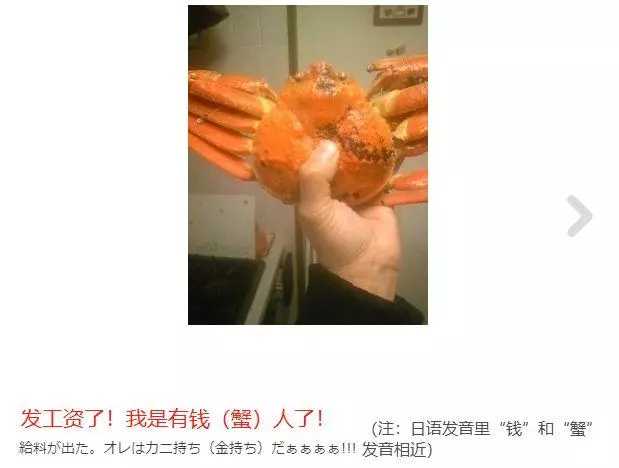 老婆又出去喝酒,日本大叔被迫獨自做飯,一到發工資,畫風開始逐漸「變態」...