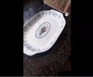 老婆又出去喝酒,日本大叔被迫獨自做飯,一到發工資,畫風開始逐漸「變態」...