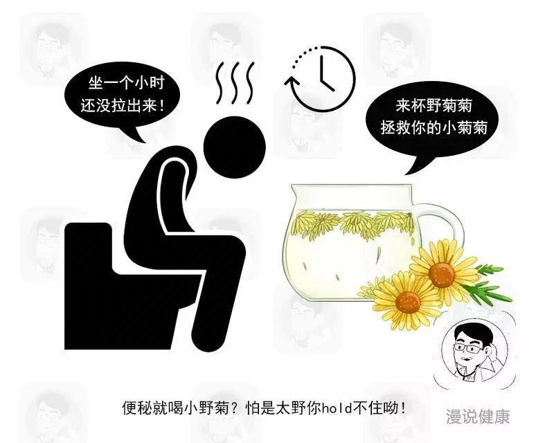 總是便秘出不來,喝點野菊花就能緩解?醫生:小心越喝越傷身