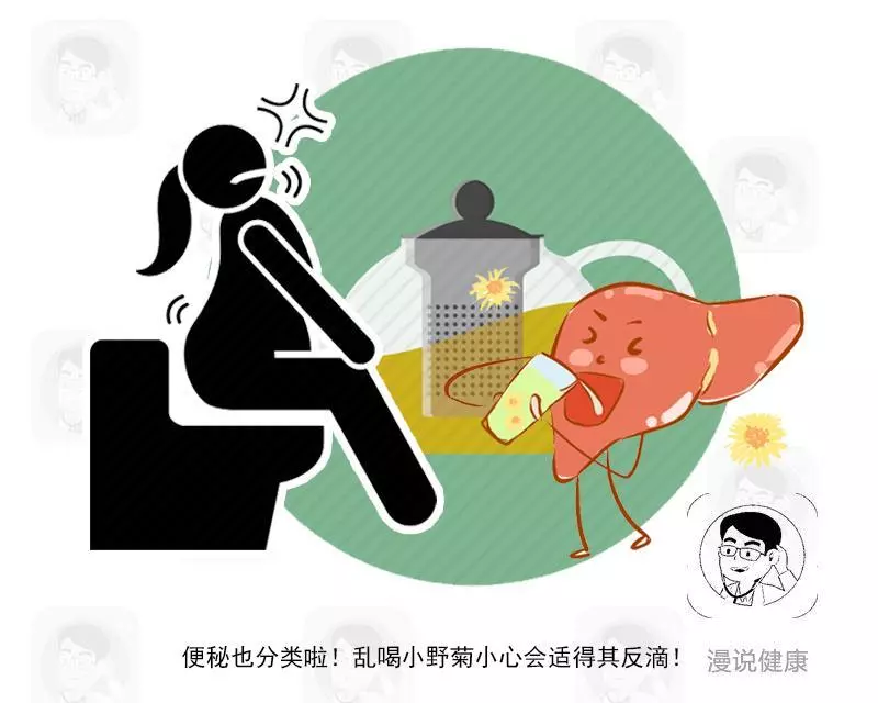 總是便秘出不來,喝點野菊花就能緩解?醫生:小心越喝越傷身