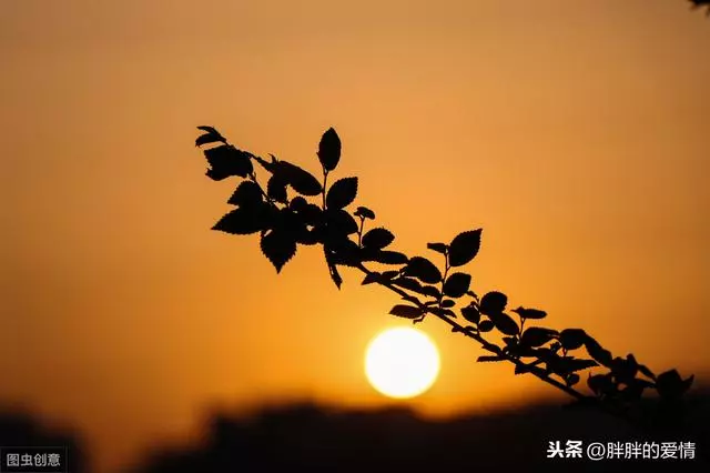 給生命一份感激,給生命一個微笑;你若淡雅,幸福自來