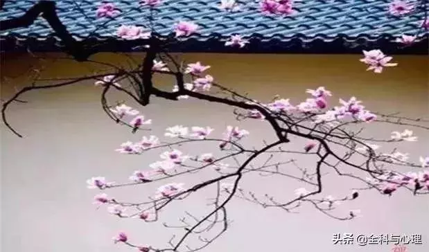 心靜,心清,遇事心不亂