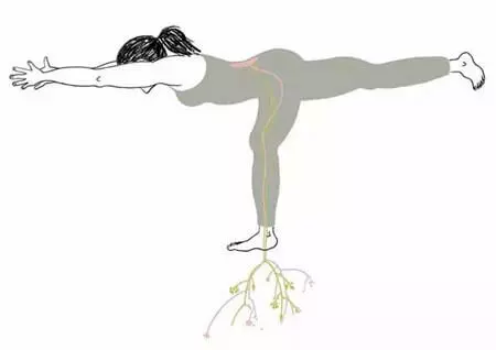 瑜伽練久了,8 件神奇的事在發生……好處多到說不完!