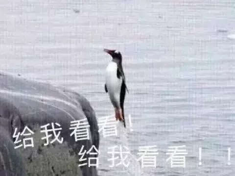 姚晨查出「癌症」崩潰大哭:男人愛不愛你,身體最實誠