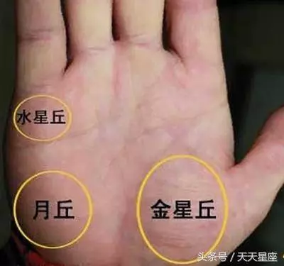 這3種掌紋的人,一生註定非富即貴 !