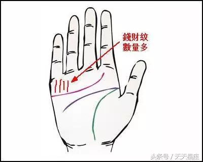 這3種掌紋的人,一生註定非富即貴 !