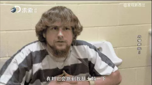 把流浪貓送去這個地方,幾個月後他們變成了這樣