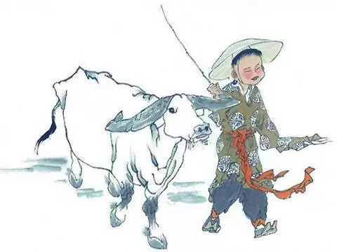 這幾個生肖天生善良總是吃虧,但是福氣最旺,也最有錢 !