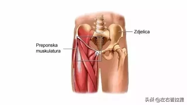 6個動作助你打開腹股溝,緩解疼痛,遠離婦科疾病