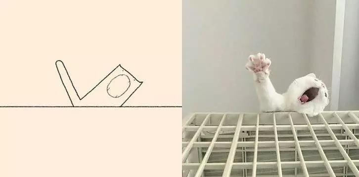 貓貓就是那麼ㄎㄧㄤ 神人簡筆還原...網翻看:真的長一樣