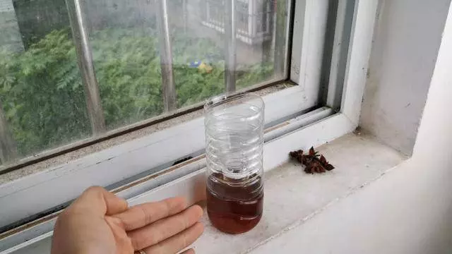 蚊子太多怎麼辦?教你一方法,輕輕鬆鬆解決你的困擾