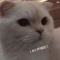 似無理取鬧的喵喵叫,其實蘊涵著深層原因 主子想對奴才說