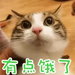 似無理取鬧的喵喵叫,其實蘊涵著深層原因 主子想對奴才說