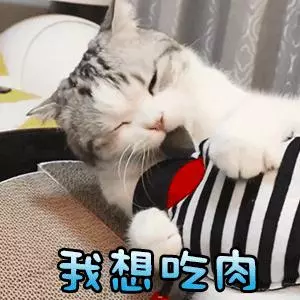 似無理取鬧的喵喵叫,其實蘊涵著深層原因 主子想對奴才說