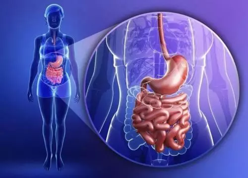 秋季水果煮熟了吃,護脾胃、利於營養吸收,香蕉、橘子和梨都可以