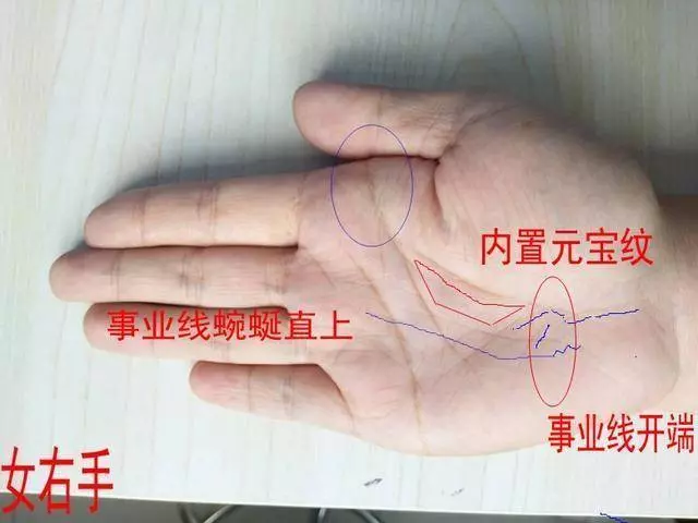 有此手相的人,財大氣粗,註定是大富大貴的命格 !