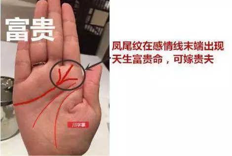 有此手相的人,財大氣粗,註定是大富大貴的命格 !