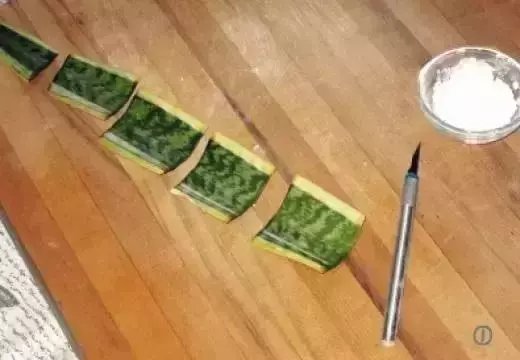12種最常見綠植,手把手教你葉插,1片葉子變盆花,瘋長停不下