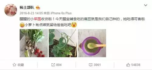 明星都在忙種菜?王祖藍小菜園品種豐富,劉濤種菜方式最先進