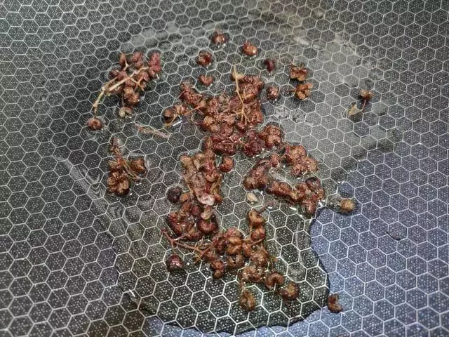 炒空心菜一出鍋就變黑,大廚教你幾招,又脆又嫩不發黑