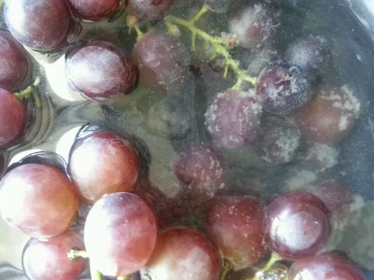 風水好福氣來!【有燕巢、橫梁新、陽光足、不潮濕、門堅固】的房子越住越富,子孫後代出貴人