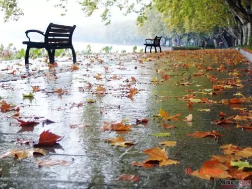 一場秋雨一場寒,入秋之後吃幾種黃色食物,健脾養胃、提高免疫力