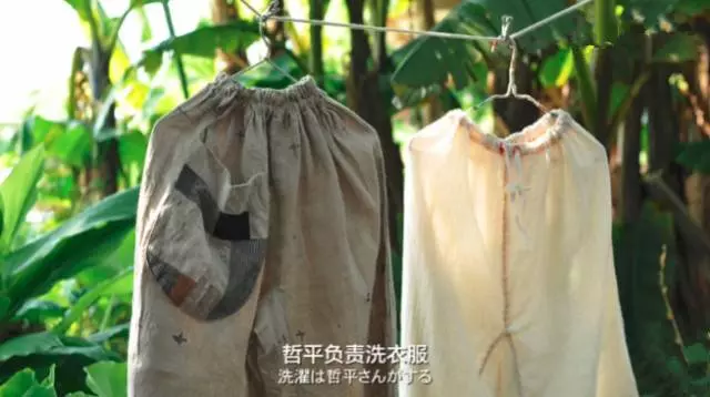 六旬夫妻歸隱田園,20年沒買新衣服整日與泥土為伴,卻引無數人神往