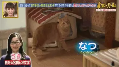 日本最省錢女孩,1天伙食費9塊錢,33歲買下3棟樓