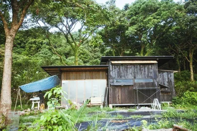 台灣攝影師在山裡徒手建26㎡木屋,住進去4年,每天只工作兩小時,過上讓人嚮往的生活