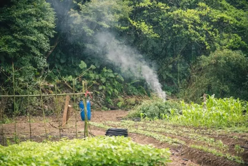 台灣攝影師在山裡徒手建26㎡木屋,住進去4年,每天只工作兩小時,過上讓人嚮往的生活