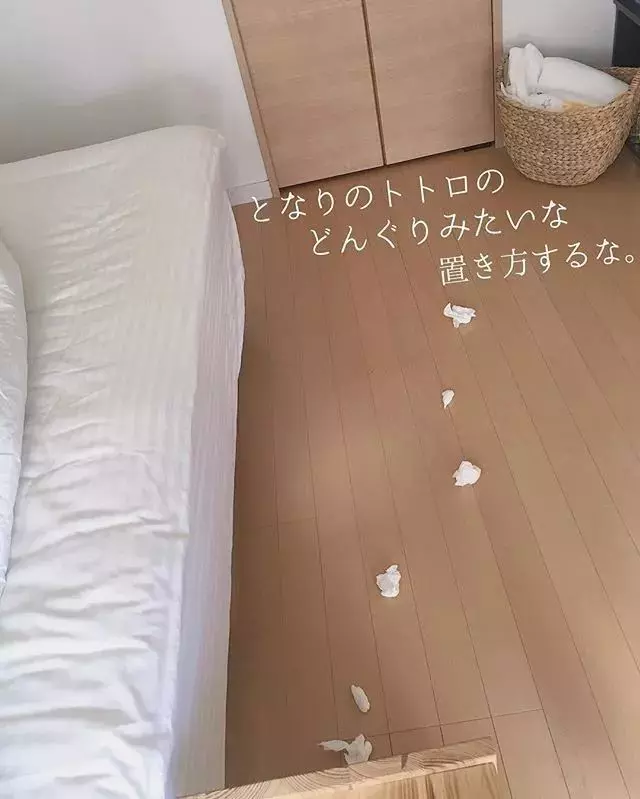 一個日本主婦上傳了老公扔的垃圾後,居然吸引了30萬粉絲圍觀...