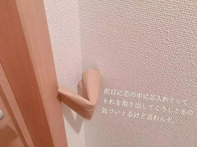 一個日本主婦上傳了老公扔的垃圾後,居然吸引了30萬粉絲圍觀...