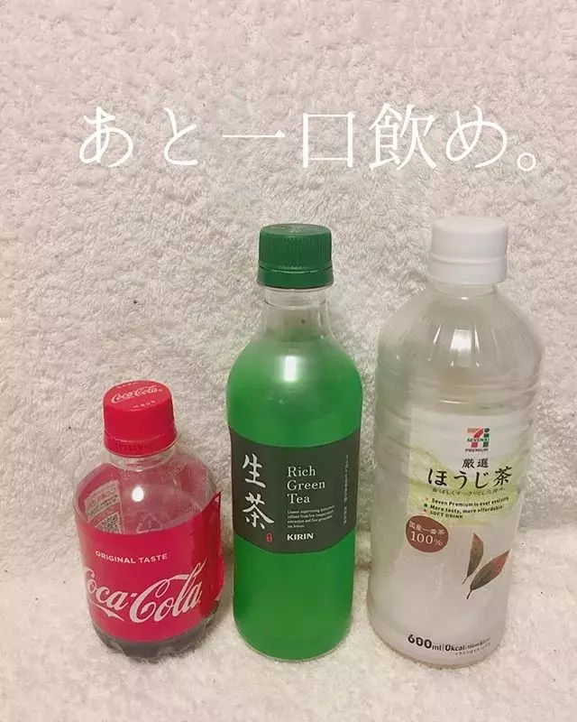 一個日本主婦上傳了老公扔的垃圾後,居然吸引了30萬粉絲圍觀...